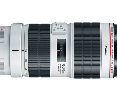 Canon zoom lens on rent for Satpura Madahi Bori Tiger safari