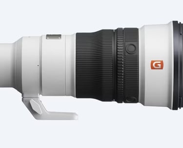 Sony camera and lens on rent at Kanha Bandhavgarh National Park Tiger Safari India