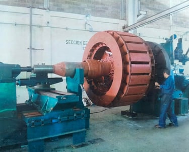 rotor polos salientes