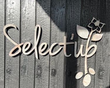 Logo lettre relief effet pierre