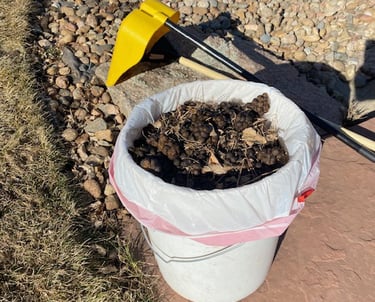 Dog Poop Scoop in North Ranch of Ken Caryl, Colorado