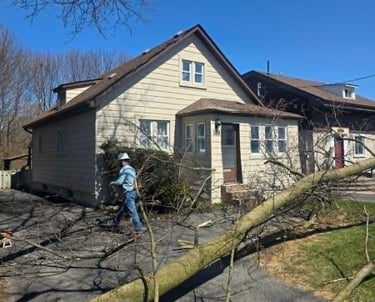 Professional arborist clearing a fallen tree from a residential driveway after storm damage.