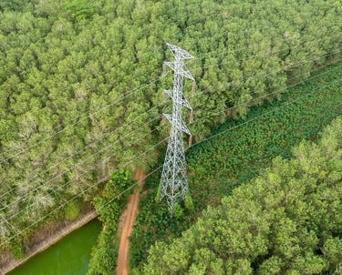 vegetation management contractor clearing right of way corridors for infrastructure 