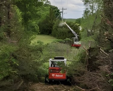municipal vegetation management along infrastructure corridors