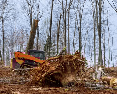land clearing equipment preparing site for construction access