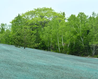hydroseeding contractor stabilizing slope with erosion control for infrastructure project Gulf South