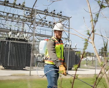 vegetation management contractor performing right of way maintenance near utility infrastructure