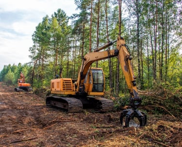 bindewald maintenance land clearing in Mississippi 