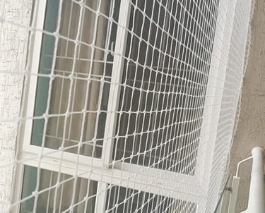 Window framed with a fine mesh pigeon net, sunlight filtering through in a cozy apartment.