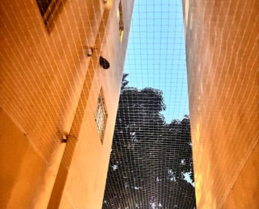 A clean apartment balcony fitted with a pigeon net to keep birds out.