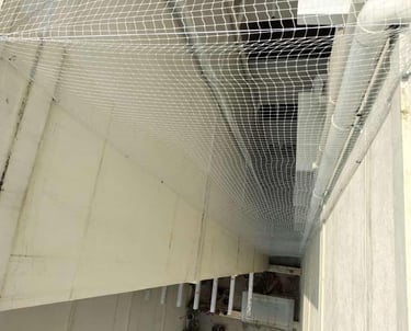 A clean, pigeon-free balcony protected by a sturdy net in Chennai.