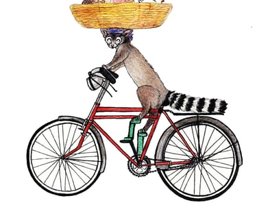 cacomixtle representando panadero tradicional en Cholula