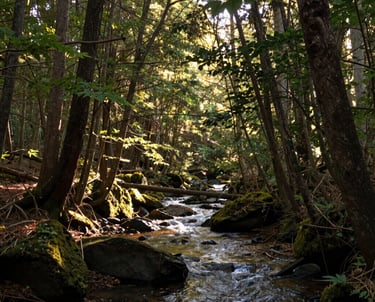 A serene navy-blue mountain range at dawn, symbolizing steady guidance in financial consulting.
