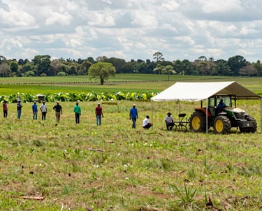 black blue and yellow textile