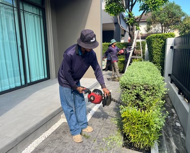 การตัดแต่งพุ่มไม้