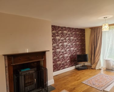 A living room with a fireplace, fresh cream walls, and a red feature wall with elephant motif.