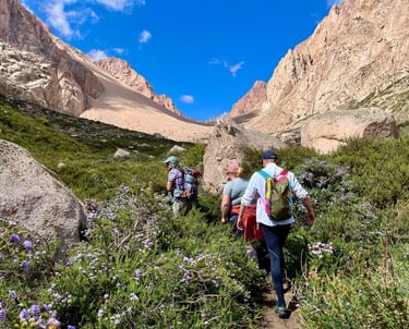 breathwork and hike in the andes near Mendoza