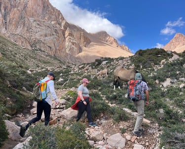 guided hikking in the andes, reconnect with nature