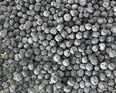 Primer plano de arándanos orgánicos frescos apilados en una bandeja de cosecha blanca 