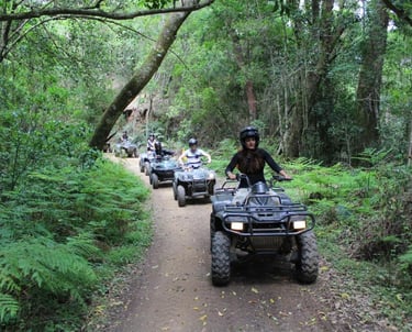 quad biking