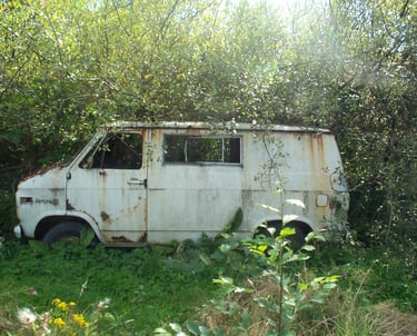 a rusty van in the woods