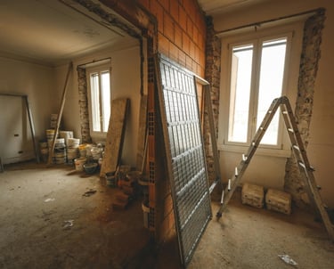 attic cleaning and remediation