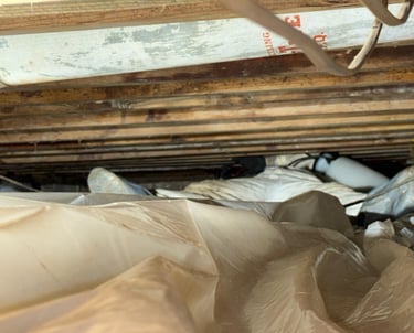 crawl space cleaning