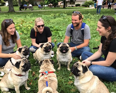 A group of pug owners happily gathered at a park, sharing laughs and pug tales.