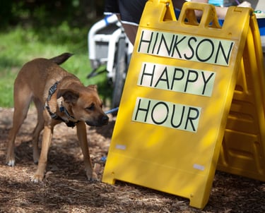 A dog sniffing a bright yellow sign reading "Hinkson Happy Hour"