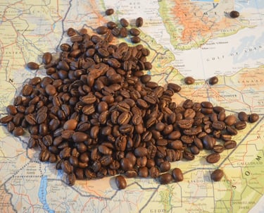 a map of a country of Ethiopia beans poured in