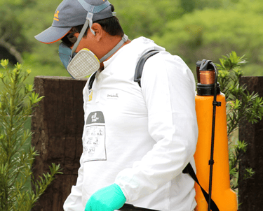 controle de pragas em jardim