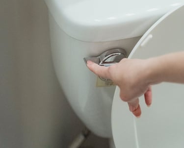 desentupimento de vaso sanitário