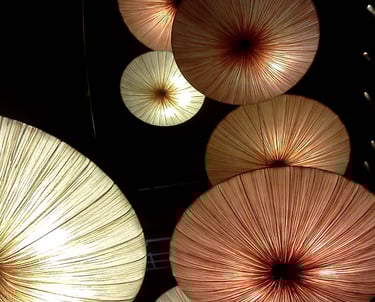 a bunch of umbrellas hanging from a ceiling