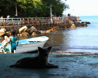 a dog laying on the ground near a boat in Puerto Vallarta