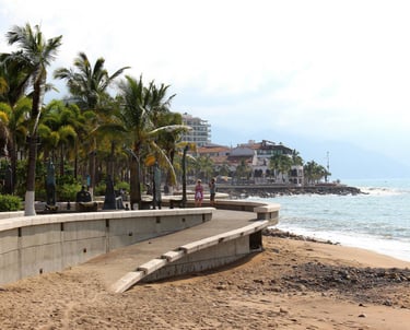 beach scene with palm trees in Puerto Vallarta