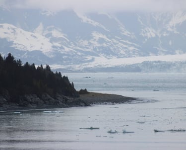 a bear standing on a rocky shore next to a body of water