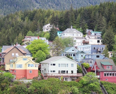a hillside with houses and trees in the background