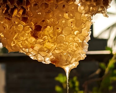 Pure Honey