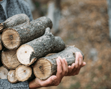 une personne tenant une pile de bûches dans ses mains