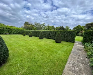 hedge cutting service hartlepool