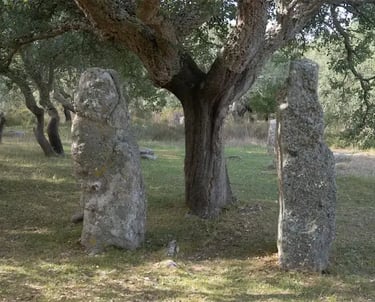 Two menhirs under an oak tree at Pranu Muttedu, Sardinia – ancient standing stones surrounded by nature.