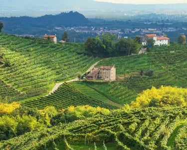 Vineyard hills of Prosecco in Veneto with farmhouses and green terraces