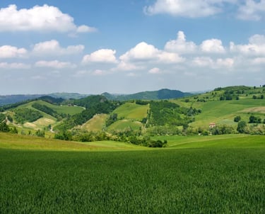 landscape Zavatarello