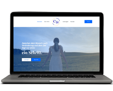 isviçre danışman web istesi