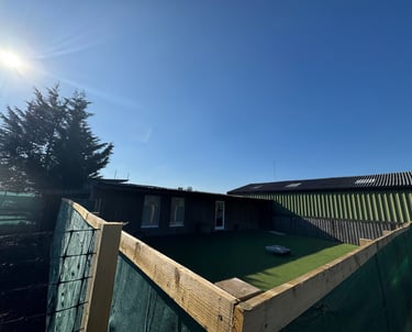 Birstwith Barkyard doggy daycare harrogate 