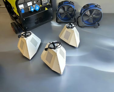 Traitement professionnel des punaises de lit