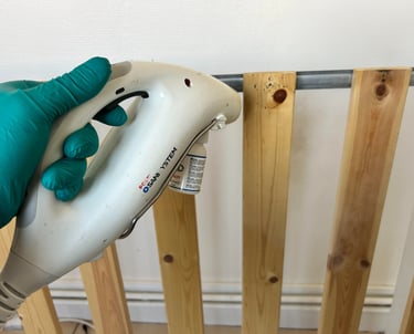 Société traitement des punaises de lit à Valence