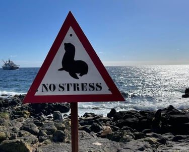 © Christophe-André Frassa