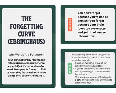 forgetting curve
