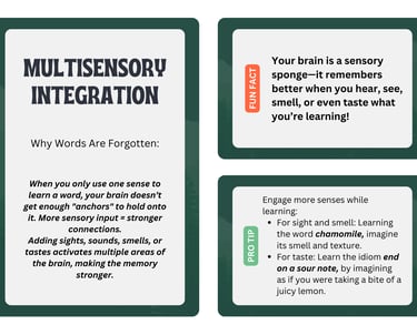 multisensory integration